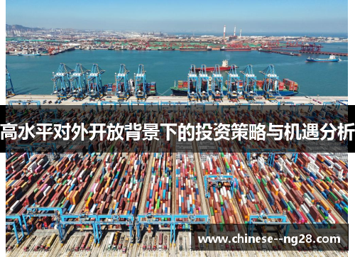 高水平对外开放背景下的投资策略与机遇分析