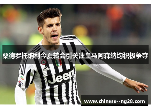 桑德罗托纳利今夏转会引关注皇马阿森纳均积极争夺